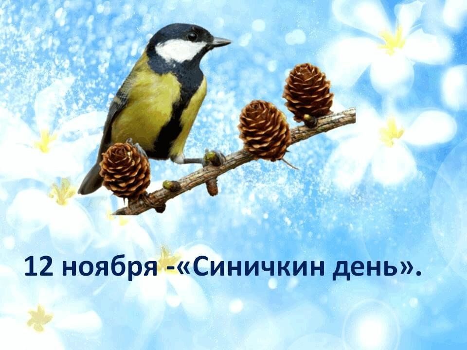 Синичкин день 12 ноября.